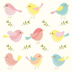 cute bird vector set