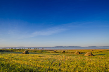 Beautiful green meadow with haystacks in the background of a forest and sky with clouds