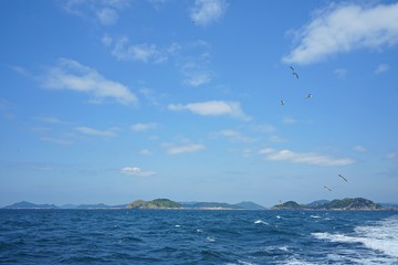 Fototapeta na wymiar beautiful island in south coast korea