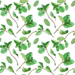 Mint Branch and Leaves Pencil Drawing Seamless Pattern
