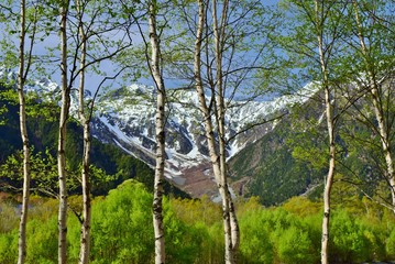 Kamikochi / Japan  ~  fresh green season