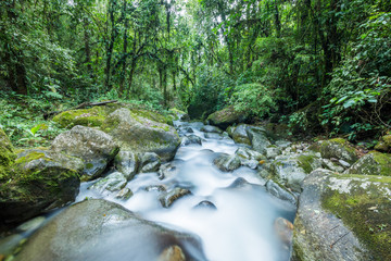 Atlantic Rainforest clear and water river in Serrinha do Alambari, Rio de Janeiro, Brazil