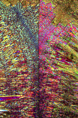 Abstract micrograph of ascorbic acid crystals in brilliant arrays.