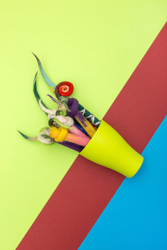 Pencils in a cover of fulled wool in a green cup on a colored background