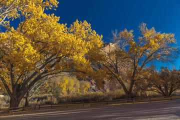 Autumn Landscape in Capitol Reef National Park, Utah