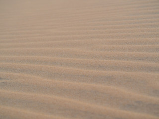 Sand Scape