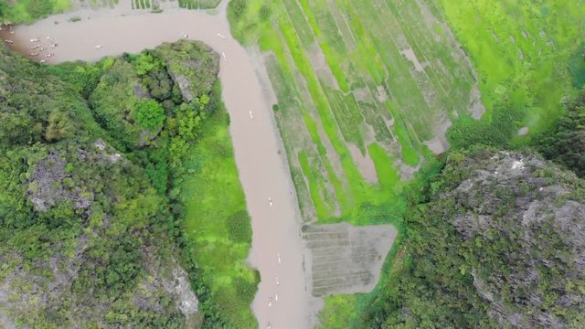 Rice fields along the river