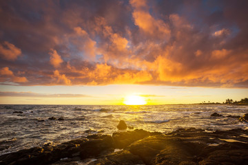Obraz premium Hawaiian beach