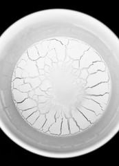 Vertrocknete Milchreste am Tassenboden