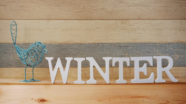 winter alphabet letter with space background
