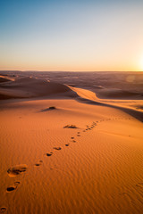Fototapeta na wymiar Foot prints in the sand, in the desert by Al Wasil, Oman.