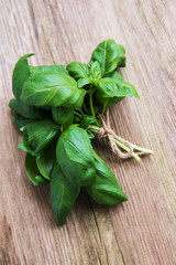 Fresh green basil