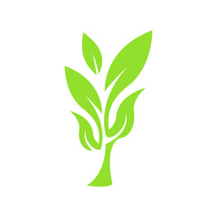 Little Tree Plannt Logo Icon Vector Leaf Symbol Simple 