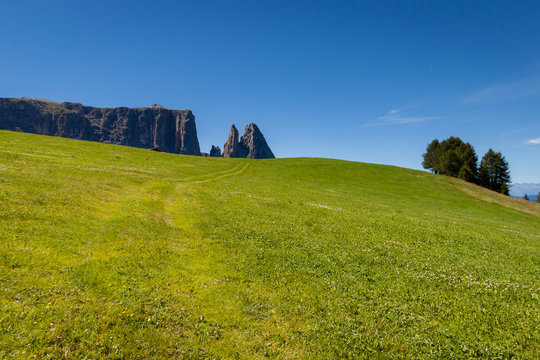 Road going through a field of green grass with dolomite mountains in the background in Seiser Alm - Alp de suise Italy
