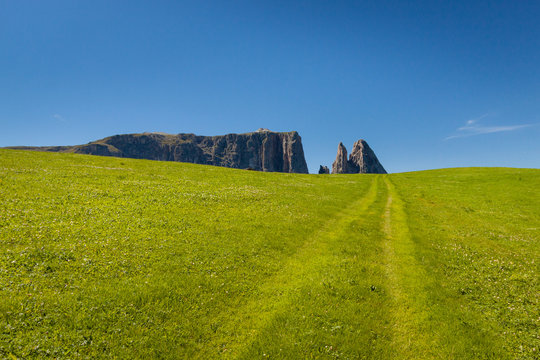 Road going through a field of green grass with dolomite mountains in the background in Seiser Alm - Alp de suise Italy