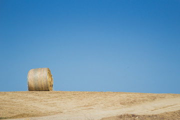 Lone Hay barrel in a Tuscany field with a blue sky and copy space