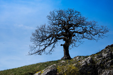 Region Palava, South Moravia, Czech Republic