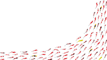 鯉のダンスパーティ