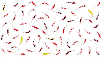 鯉のダンスパーティ