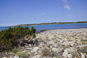 Fototapeta na wymiar Eaux turquoises de la Méditerranée sur l'île de Minorque, Baléares, Espagne
