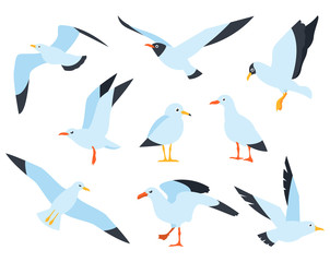 Flying, on the water and standing seagulls cartoon set. Cute bird in cartoon style.