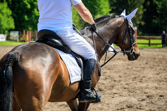 Unrecognizable horse rider on an equestrian event