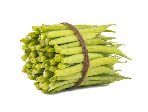 Guar or Cluster Bean Also Known as Gavar, Guwar or Guvar Bean isolated on White Background