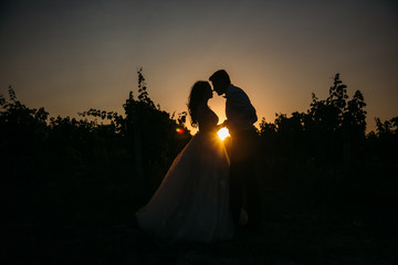 Silhouettes bride groom standing on the vineyard and tenderly looking at each other at sunset. Concept of love and family