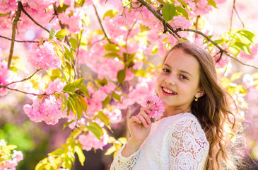 Fototapeta premium Girl on smiling face standing near sakura flowers, defocused. Cute child enjoy aroma of sakura on spring day. Perfume and fragrance concept. Girl with long hair outdoor, cherry blossom on background.