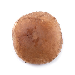 Portobello mushrooms isolated on a white background