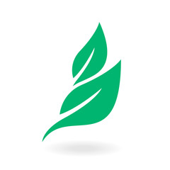 Green labels concept with leaves,vector illustration. Eco icon green leaf vector.