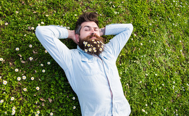 Hipster on calm face lays on grass, top view. Appeasement concept. Guy looks nicely with daisy or...