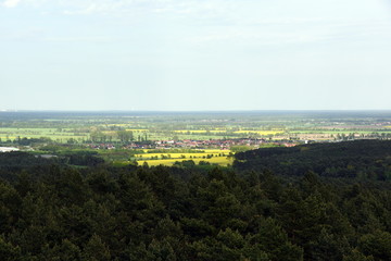 Fototapeta na wymiar Gröden bei Elsterwerda, Blick vom Heidebergturm