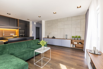 Spacious green apartment interior