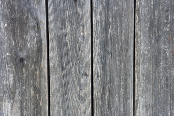 Grey wood background