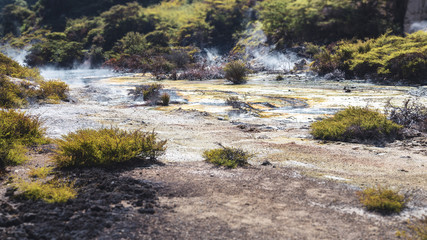volcanic activities at waimangu