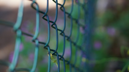 safety wire for garden