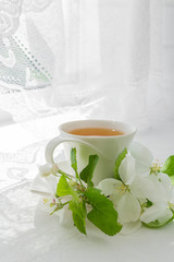 White cup with tea and centuries of blossoming apple trees in the summer morning breakfast at the window with a white lacy curtain in a rustic style with a copy of the space