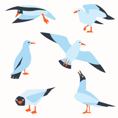 Fototapeta premium Sea Gull, a beautiful bird. Cute bird in cartoon style. Cartoon atlantic seabird.