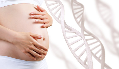 Young pregnant woman caress belly among DNA stem.