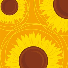 Vector sunflowers background