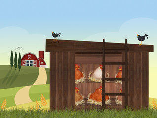 hens in the hen house - obrazy, fototapety, plakaty