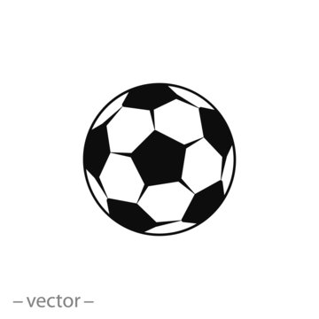 Soccer ball vector icon