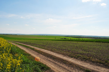 Landscape. Field. Field road. Green grass Blue sky Clouds in the sky.