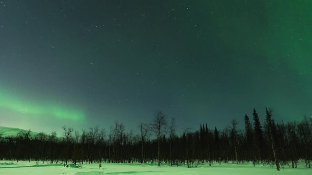 Time lapse of Aurora Borealis (Northern Lights) over forest in Pallas-Yllästunturi National Park, Lapland, Finland