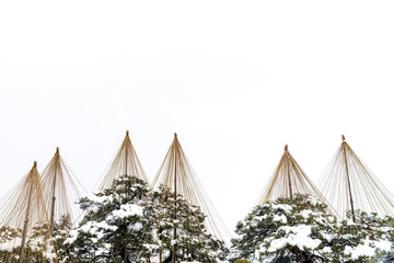 金沢　雪の兼六園