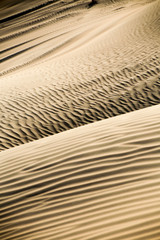 Vertical close up of sand dunes showing texture and pattern