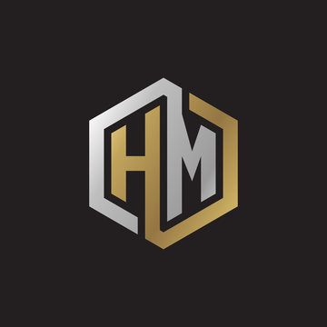 Initial letter HM, looping line, hexagon shape logo, silver gold color on black background