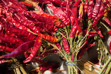 Red hot pepper background, Dried chili peppers in bunches