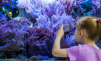 Little girl watching fish and corals in the aquarium